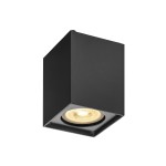 SLV 1002216 ALTRA DICE, Indoor Wand- und Deckenaufbauleuchte, QPAR51, schwarz 