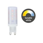 Paulmann 288.20 Standard 230V LED Stiftsockel G9 1er-Set 300lm 4W Dim to warm dimmbar Klar 