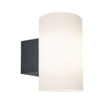 Paulmann 941.86 Außenwandleuchte Tube IP54 rund 120x175mm max. 15W 230V Anthrazit Kunststoff 