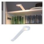 Paulmann 999.49 Clever Connect LED Spot Mike Tunable White 2W Weiß matt 