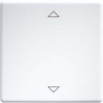 Eltako W-FT55-rw+2P Wippe lasergraviert für 55x55mm reinweiß 30000982 