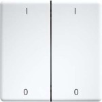 Eltako DW-FT55-wg+IO Doppelwippe lasergraviert für 55x55mm reinweiß glänzend 30000987 