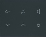 Elcom Innenstation Audio 2D anthrazithrazit matt TOUCH REA114Y 