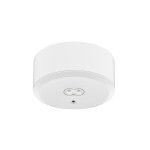 Dotlux 3679-1 LED-Sicherheitsleuchte EXITtop mit Selbsttest inkl. 2 austauschbaren Linsen weiß 3h 