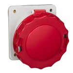 Schneider 81282 Anbausteckdose, 63A, 3p+E, 380-415 V AC, IP67 