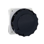 Schneider 81697 Anbausteckdose gerade- 125A, 3p+E, 480-500 V AC, IP67 
