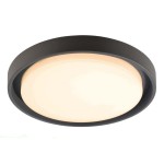 Deko-Light 348069 Deckenaufbauleuchte, Ascella, 30 W, 3000 K, Grau, 220-240 V/AC, 50 / 60 Hz, IP 5 