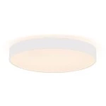 Deko-Light 348202 Decken- und Wandaufbauleuchte, Menkar 600 mm, 65 W, 3000/4000 K, Weiß, 220-240 V 