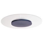 Deko-Light 620042 Deckenaufbauleuchte, Set, Zaniah 370 mm, 18 W, DIM, 3000 K, Cover Blau, 220-240 