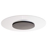 Deko-Light 620047 Deckenaufbauleuchte, Set, Zaniah 370 mm, 18 W, DIM, 3000 K, Cover Schwarz, 220-2 