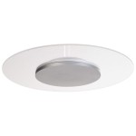 Deko-Light 620049 Deckenaufbauleuchte, Set, Zaniah 420 mm, 24 W, DIM, 3000 K, Cover Silber, 220-24 