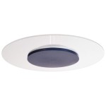 Deko-Light 620050 Deckenaufbauleuchte, Set, Zaniah 420 mm, 24 W, DIM, 3000 K, Cover Blau, 220-240 