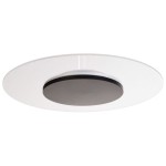 Deko-Light 620055 Deckenaufbauleuchte, Set, Zaniah 420 mm, 24 W, DIM, 3000 K, Cover Schwarz, 220-2 