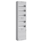 ABN ABNPV107R07 Verteilerfeld 1V 1APZ 250x300mm 1V5 60TE BxH 250x1050mm 