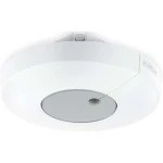 Steinel DUAL-R KNX V3 UP Bewegungsmelder 058340 