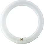 Philips TL-E 22W/865 Leuchtstofflampe G10q 1250lm 22,2W 6500K 865 84053700 