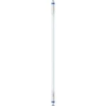 Philips MASLEDtube LED Tube T5 für EVG G5 1050lm 8W 563mm 4000K dimmbar 74325600 