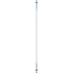 Philips MASLEDtube LED Tube T5 für EVG G5 1050lm 8W 563mm 6500K dimmbar 74327000 