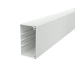 OBO Bettermann 6027121 Wand- und Deckenkanal 60x110mm PVC WDK60110LGR 2 Meter 