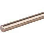 DEHN 860110 AF10V4A1000 Anschlussfahne NIRO Rd 10mm 