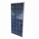 # Phaesun 310388 Solarmodul Phaesun Sun Plus 165 P 
