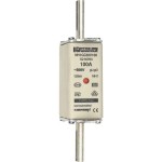 Mersen NH1GG50V100 NH-Sicherungseinsatz SF Gr.1 gG 100A 500V KM 