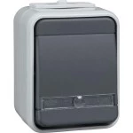 Elso ELG442619 Universaltaster AP 1Wechs bel lichtgrau/dgr 