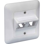 Reichle & De-Massari 306006 DIN Anschlussdose 80x80 2Port weiss, VE=10 Stück 