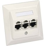 Panduit CS3P6TGAWY Schrägzentralplatte,3-Port inkl. 3x CJS688TG 