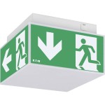 CEAG ExitCube 40071353420 LED-Würfel RZ 33822 LED CGLine+ 