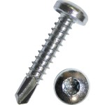 Dresselhaus 6054/001/51 3,9x19 Bohrschrauben mit Linsenk. Innensechsrund zn 100 Stück 