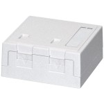 Dätwyler 418037 Aufputzdose rw 2xKeystone Module 68x65x30mm 