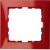 morepic-1