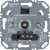 morepic-1