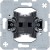 morepic-1