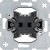 morepic-1