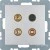 morepic-1