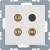 morepic-1