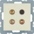 morepic-1