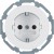 morepic-1