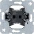 morepic-1