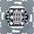 morepic-1