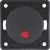 morepic-1