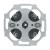 morepic-1