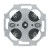 morepic-1