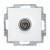 morepic-1