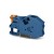 morepic-1