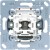morepic-1