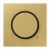 morepic-1