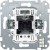 morepic-1